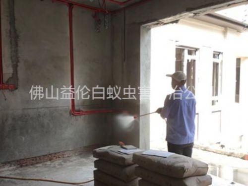 三水装修预防白蚁工程