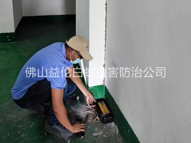 禅城电房灭杀白蚁工程