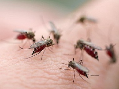 南海四害消杀中心驱蚊子灭蚊子防蚊子的小方法